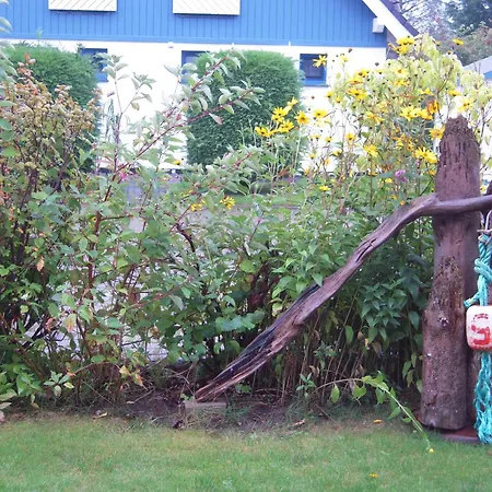 Haus Ginster In Zingst Niederdorla