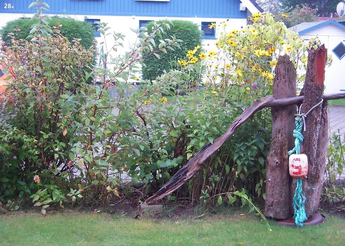 Haus Ginster In Zingst Niederdorla